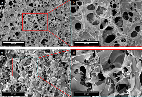 Comparative analysis of gelatin and hydroxyethyl cellulose scaffolds crosslinked by silane coupling agent 